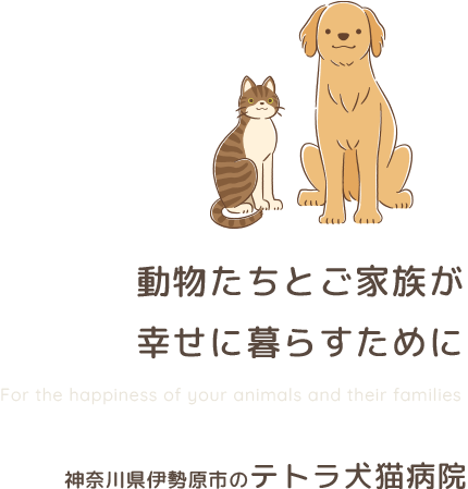 動物たちとご家族が幸せに暮らすために神奈川県伊勢原市のテトラ犬猫病院